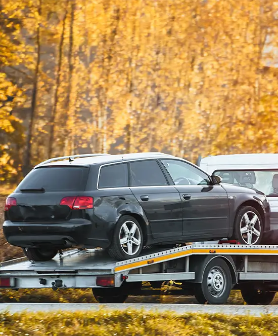 Fahrzeug wird auf dem Abschleppwagen durch herbstliche Landschaft transportiert